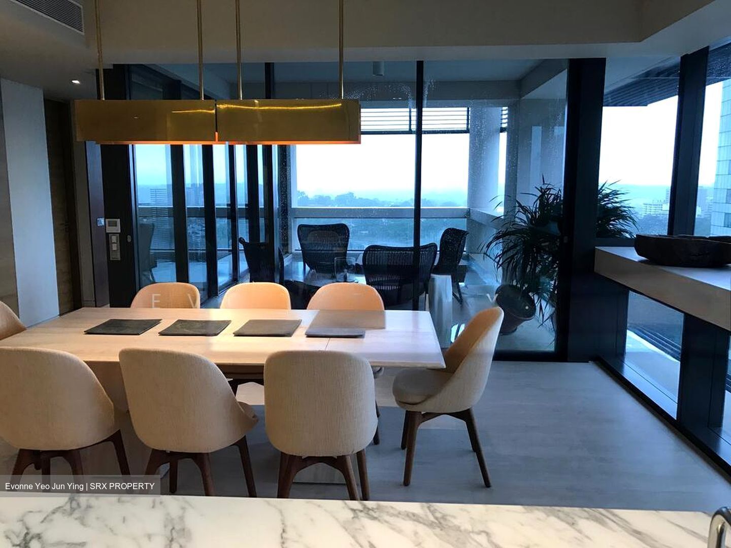 Hana (D10), Condominium #503163071